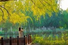 足球比分赔率分析-足球比分赔率分析，解码赛场风云，洞悉博彩玄机